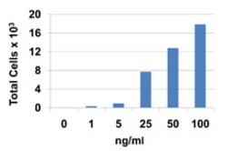 Biolegend Recombinant Human CCL22 (MDC) (carrier-free), Quantity: Each