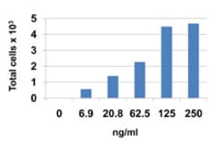 Biolegend Recombinant Human CCL24 (Eotaxin-2) (carrier-free), Quantity: