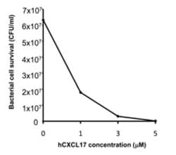 Biolegend Recombinant Human CXCL17 (VCC-1) (carrier-free), Quantity: Each