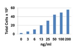 Biolegend Recombinant Human CCL25 (TECK) (carrier-free), Quantity: Each