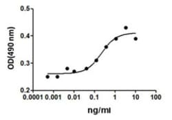 Biolegend Recombinant Human Erythropoietin (EPO) (carrier-free), Quantity: