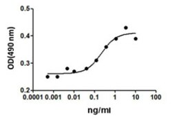 Biolegend Recombinant Human Erythropoietin (EPO) (carrier-free), Quantity: