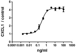 Biolegend Recombinant Mouse IL-25 (IL-17E) (insect expressed, CF), Quantity: