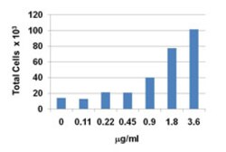 Biolegend Recombinant Human CXCL12 (SDF-1β) (carrier-free), Quantity: Each