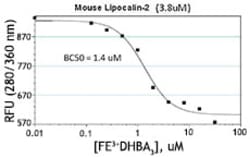 Biolegend Recombinant Mouse NGAL (Lipocalin-2) (carrier-free), Quantity: