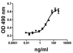 Biolegend Recombinant Mouse IGF-II (carrier-free), Quantity: Each of 1