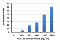 Biolegend Recombinant Mouse CCL25 (TECK) (carrier-free), Quantity: Each