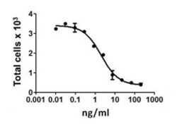 Biolegend Recombinant Human FASL (TNFSF6) (carrier-free), Quantity: Each