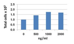 Biolegend Recombinant Mouse CXCL14 (BRAK) (carrier-free), Quantity: Each
