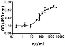Biolegend Recombinant Human VEGF-C (carrier-free), Quantity: Each of 1