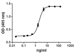 Biolegend Recombinant Human TRANCE (RANKL) (carrier-free), Quantity: Each