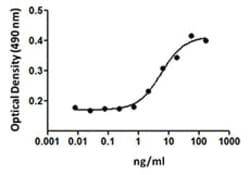 Biolegend Recombinant Mouse IGF-I (carrier-free), Quantity: Each of 1
