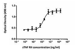 Biolegend Recombinant Human sTNF-RII (TNFRSF1B) (carrier-free), Quantity: