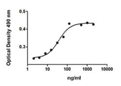 Biolegend Recombinant Human CD40L (TNFSF5) (carrier-free), Quantity: Each