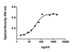 Biolegend Recombinant Human CD40L (TNFSF5) (carrier-free), Quantity: Each