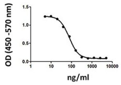 Biolegend Recombinant Mouse CTLA-4-Fc Chimera (carrier-free), Quantity:
