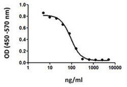 Biolegend Recombinant Human CTLA-4-Fc Chimera (carrier-free), Quantity: