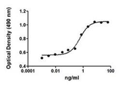 Biolegend Recombinant Rat Erythropoietin (EPO) (carrier-free), Quantity: