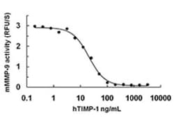 Biolegend Recombinant Human TIMP-1 (carrier-free), Quantity: Each of 1