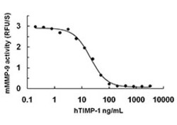 Biolegend Recombinant Human TIMP-1 (carrier-free), Quantity: Each of 1
