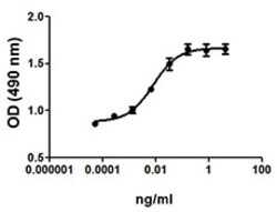 Biolegend Recombinant Rat GM-CSF (carrier-free), Quantity: Each of 1