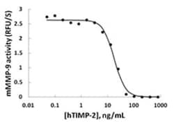 Biolegend Recombinant Human TIMP-2 (carrier-free), Quantity: Each of 1