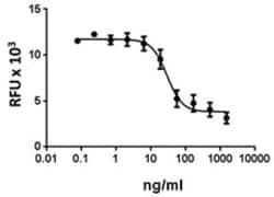 Biolegend Recombinant Human VEGFR2-Fc Chimera (carrier-free), Quantity: