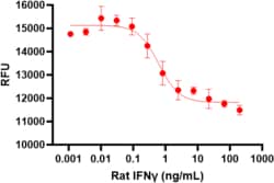 Biolegend Recombinant Rat IFN-γ (carrier-free), Quantity: Each of 1