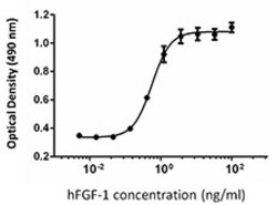 Biolegend Recombinant Human FGF-1-acidic (carrier-free), Quantity: Each