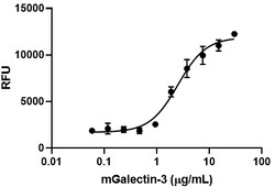 Biolegend Recombinant Mouse Galectin-3 (carrier-free), Quantity: Each of