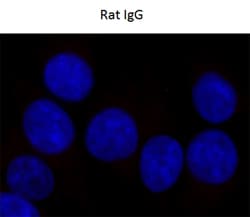 Biolegend Purified anti-TDRD3, Quantity: Each of 1