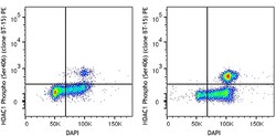 Biolegend PE anti-HDAC1 Phospho (Ser406), Quantity: Each of 1