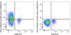 Biolegend PE anti-PLCγ1 Phospho (Tyr783), Quantity: Each of 1