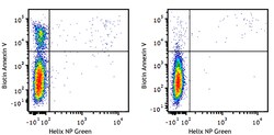 Biolegend&nbsp;Biotin Annexin V