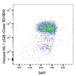 Biolegend Purified anti-Histone H3.1 Phospho (Ser28), Quantity: Each of