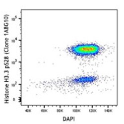 Biolegend Alexa Fluor 647 anti-Histone H3.1 Phospho (Ser28), Quantity: