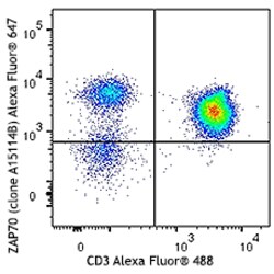 Biolegend Alexa Fluor 647 anti-ZAP70, Quantity: Each of 1