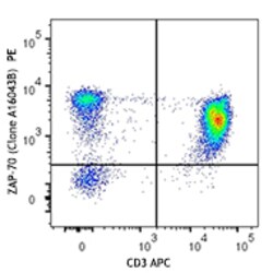 Biolegend PE anti-ZAP-70, Quantity: Each of 1