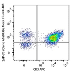 Biolegend Alexa Fluor 488 anti-ZAP-70, Quantity: Each of 1