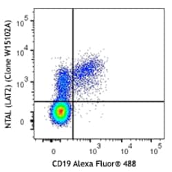 Biolegend PE anti-NTAL (LAT2), Quantity: Each of 1