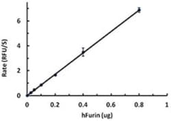 Biolegend Recombinant Human Furin (carrier-free), Quantity: Each of 1