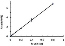 Biolegend Recombinant Human Furin (carrier-free), Quantity: Each of 1