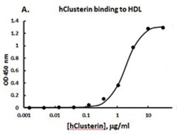 Biolegend Recombinant Human Clusterin (carrier-free), Quantity: Each of