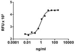 Biolegend Recombinant Rat IL-13 (carrier-free), Quantity: Each of 1
