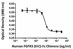 Biolegend Recombinant Human FGFR3 (IIIc)-Fc Chimera (carrier-free), Quantity:
