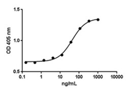 Biolegend Recombinant Human PTH (carrier-free), Quantity: Each of 1