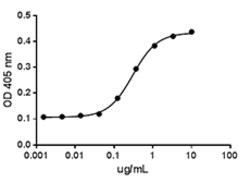 Biolegend Recombinant Human Sonic Hedgehog (carrier-free), Quantity: Each