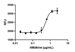 Biolegend Recombinant Human Midkine (carrier-free), Quantity: Each of 1