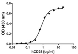 Biolegend Recombinant Human CD28-Fc Chimera (carrier-free), Quantity: Each