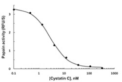 Biolegend Recombinant Human Cystatin C (carrier-free), Quantity: Each of